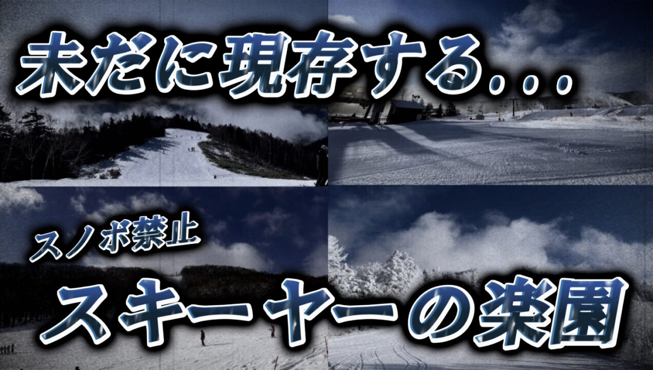 全国のスキー専用の全11スキー場を一挙に紹介